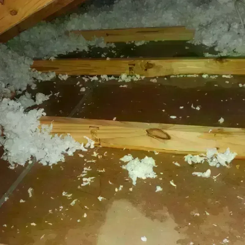 Attic Water Damage in Dale, IN